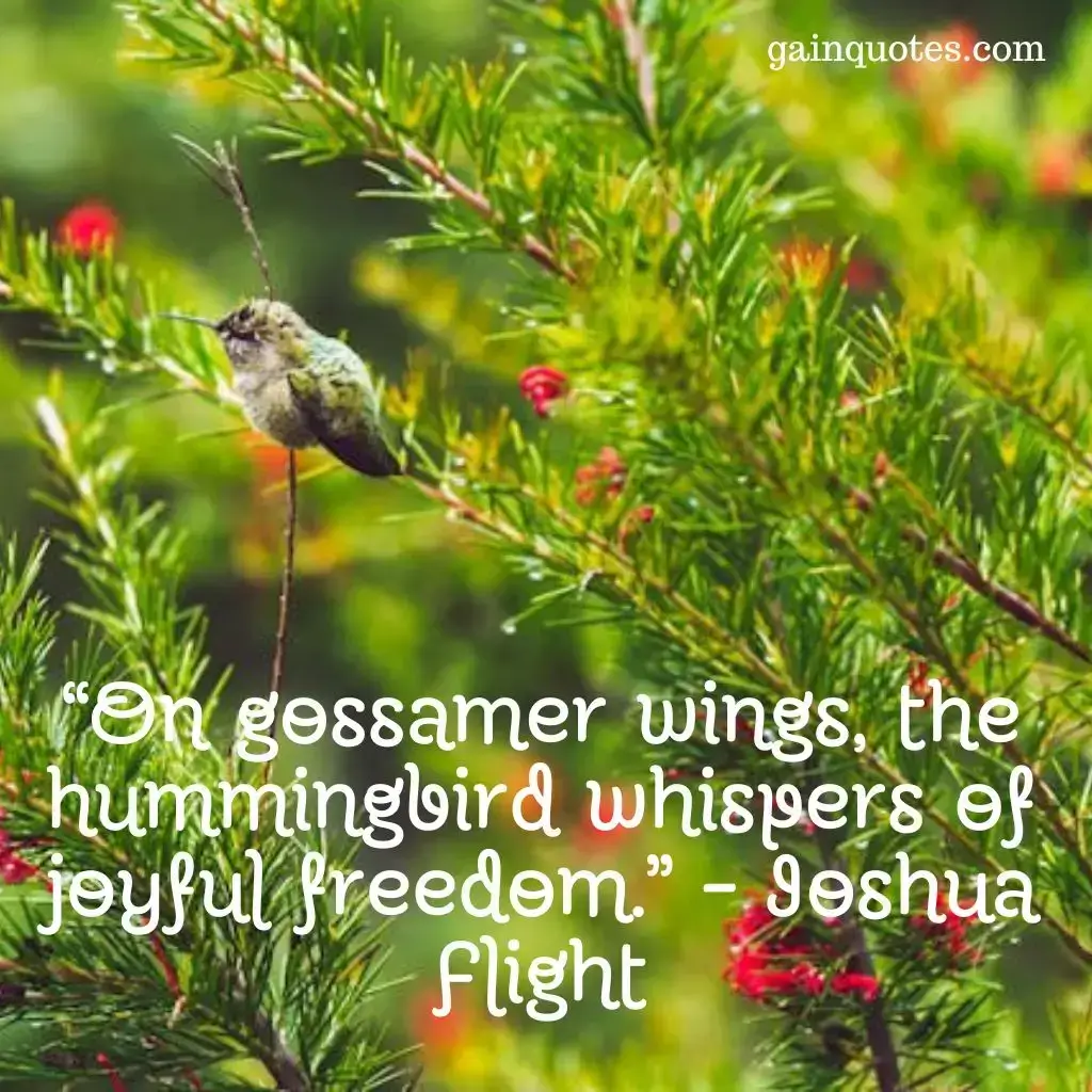 100 Hummingbird Quotes Capturing the Magic of Nature’s Jewels