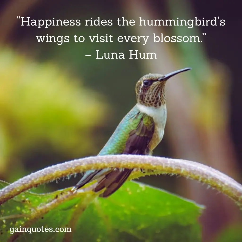 100 Hummingbird Quotes Capturing the Magic of Nature’s Jewels