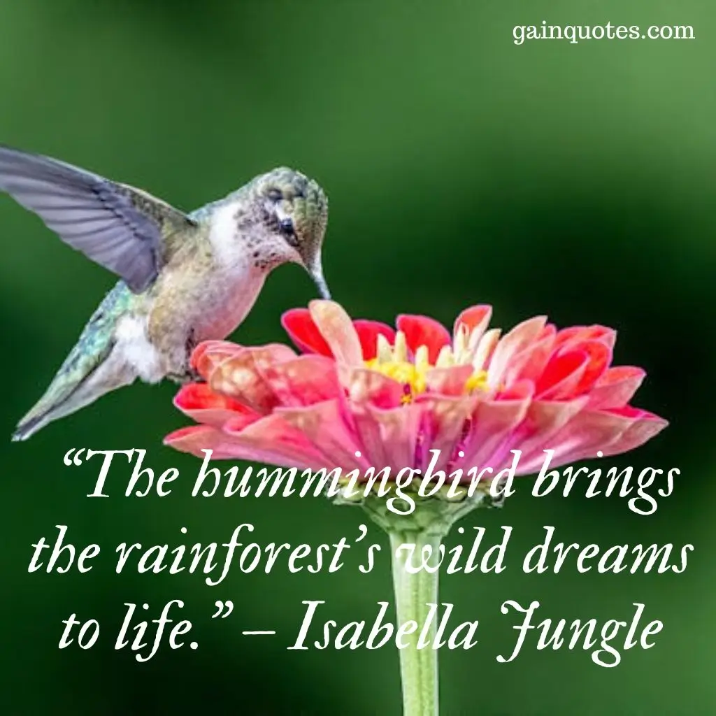 100 Hummingbird Quotes Capturing the Magic of Nature’s Jewels