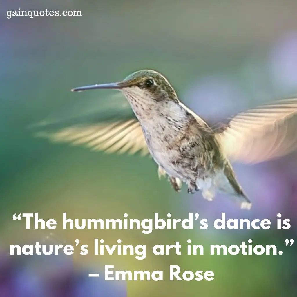 100 Hummingbird Quotes Capturing the Magic of Nature’s Jewels