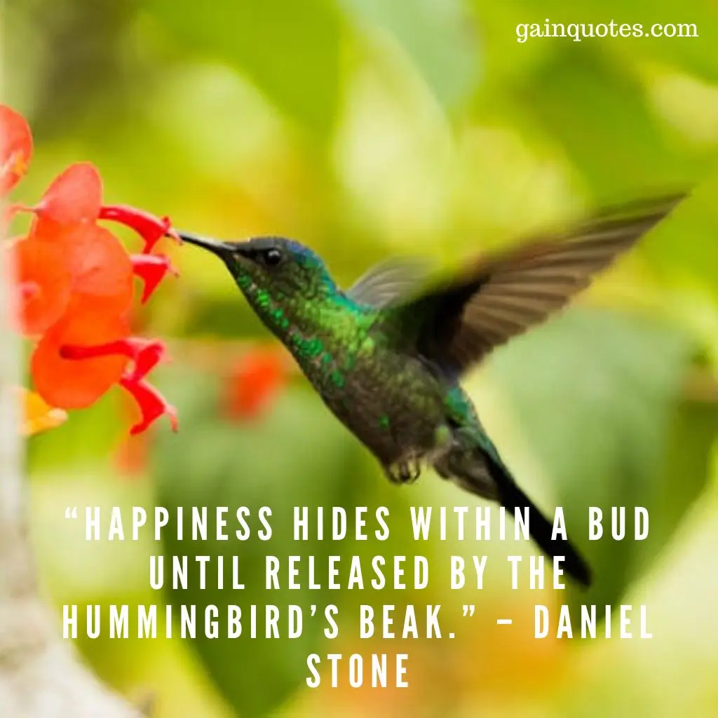 100 Hummingbird Quotes Capturing the Magic of Nature’s Jewels