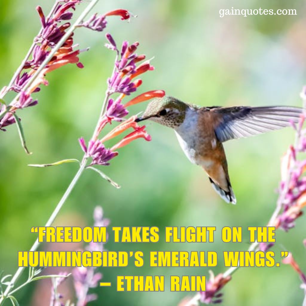 100 Hummingbird Quotes Capturing the Magic of Nature’s Jewels