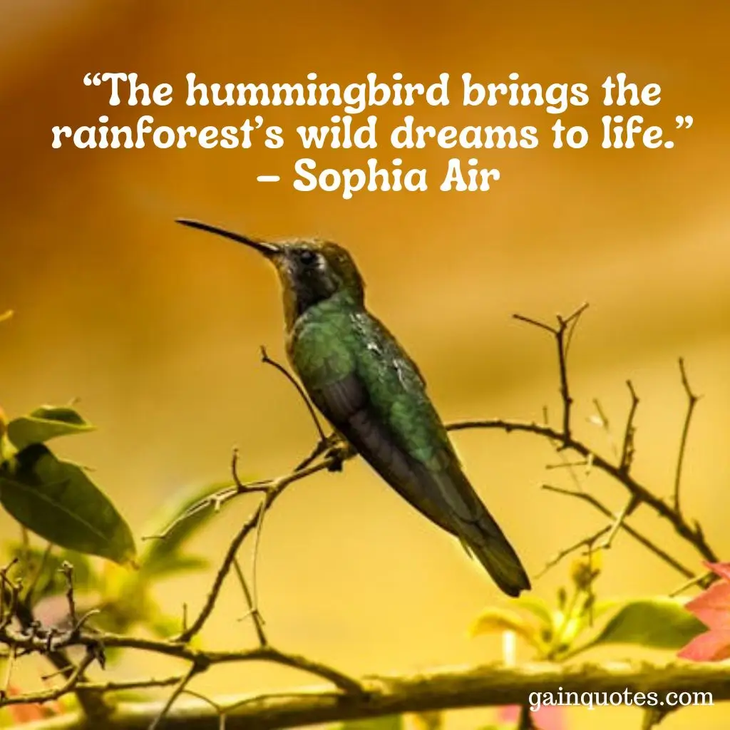 100 Hummingbird Quotes Capturing the Magic of Nature’s Jewels