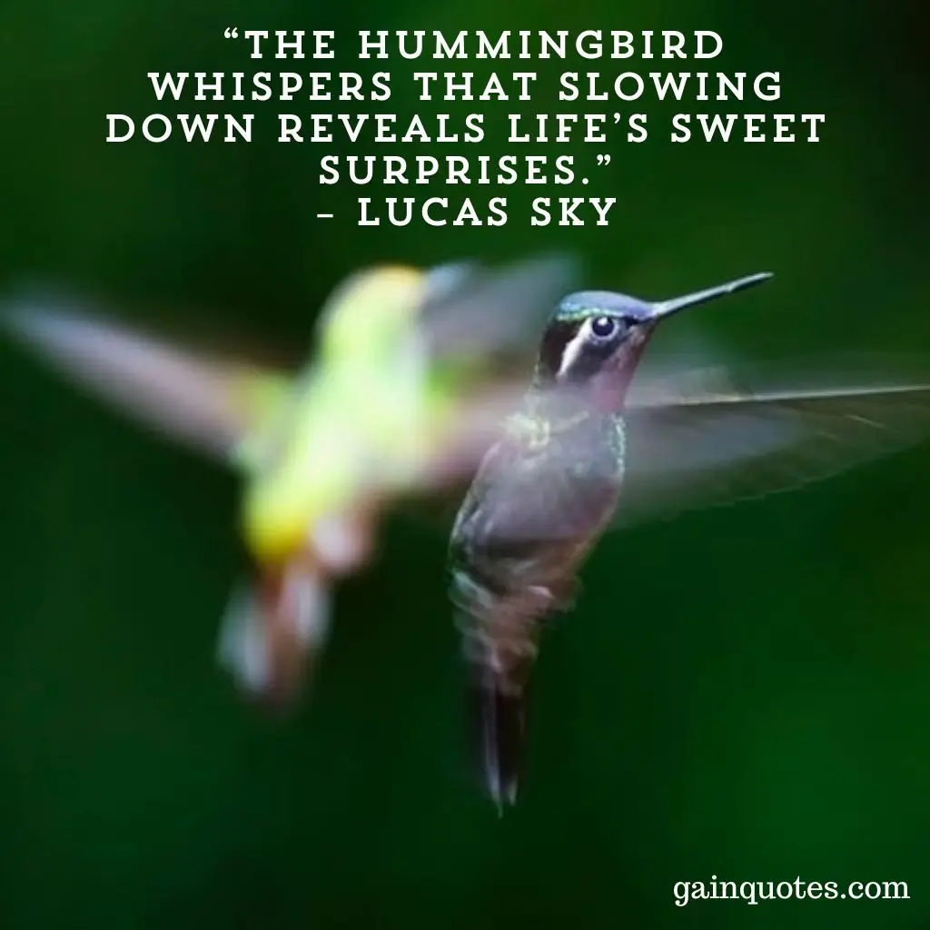 100 Hummingbird Quotes Capturing the Magic of Nature’s Jewels