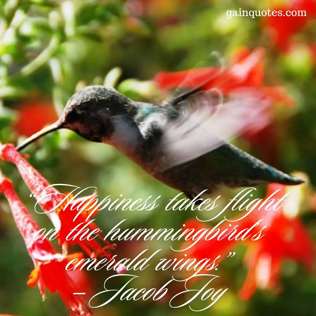 100 Hummingbird Quotes Capturing the Magic of Nature’s Jewels