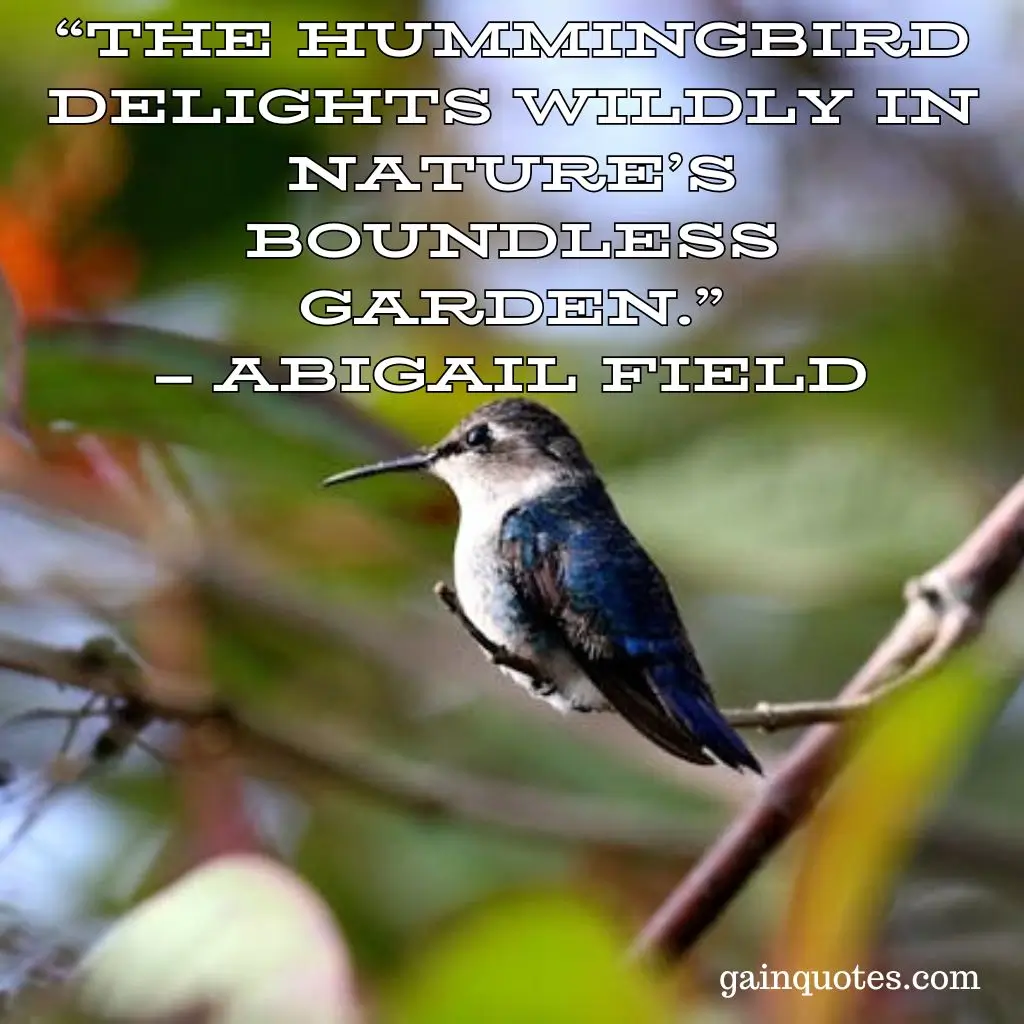 100 Hummingbird Quotes Capturing the Magic of Nature’s Jewels