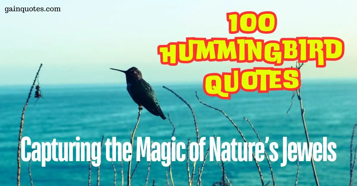 100 Hummingbird Quotes Capturing the Magic of Nature’s Jewels